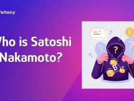 satoshi nakamoto: what we know and the mystery – What Reddit is Saying